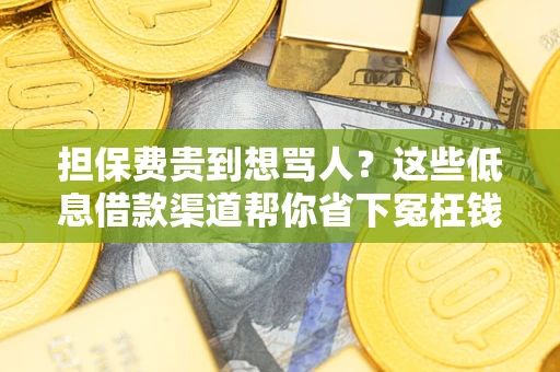 济南担保费贵到想骂人？这些低息借款渠道帮你省下冤枉钱