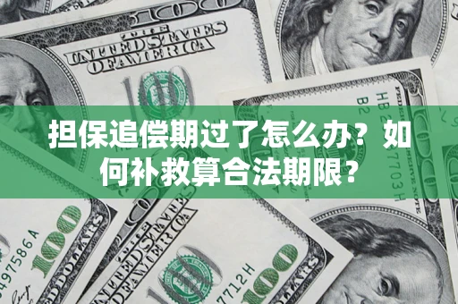 济南担保追偿期过了怎么办？如何补救算合法期限？