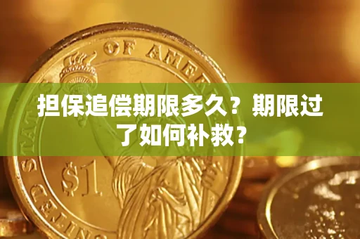 济南担保追偿期限多久？期限过了如何补救？