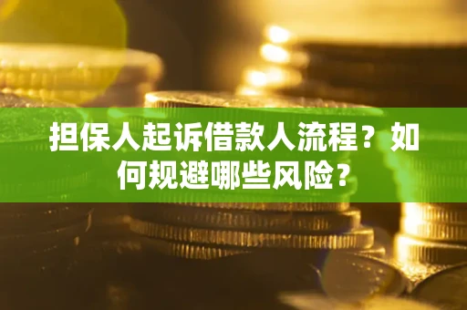济南担保人起诉借款人流程？如何规避哪些风险？